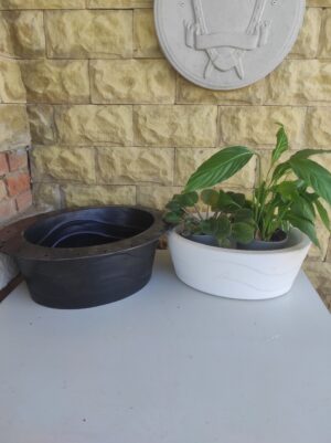 IMG_20260303_130612 Matrita ghivece flori Liria medie G0039