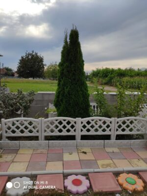 Matrita gardulet flori GF001